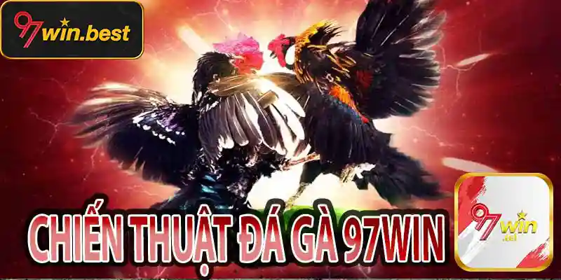 Một số thông tin về app đá gà 